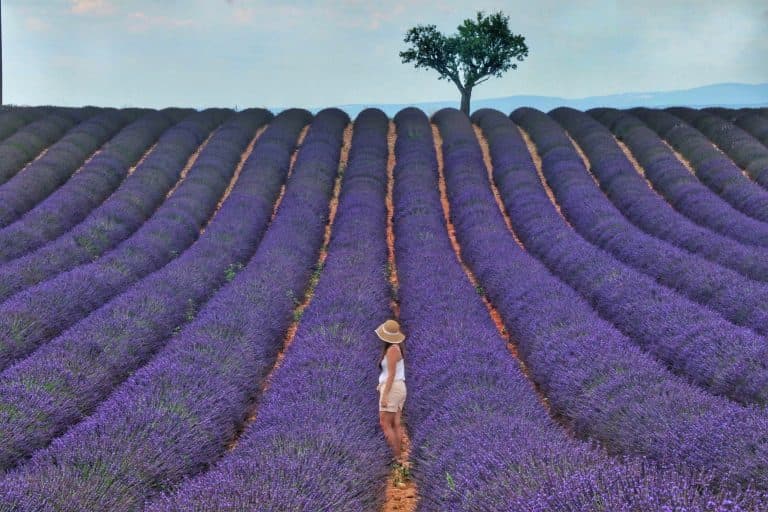 Jacquemus ci presenta la superstar testimonial della nuova campagna: nonna Liline